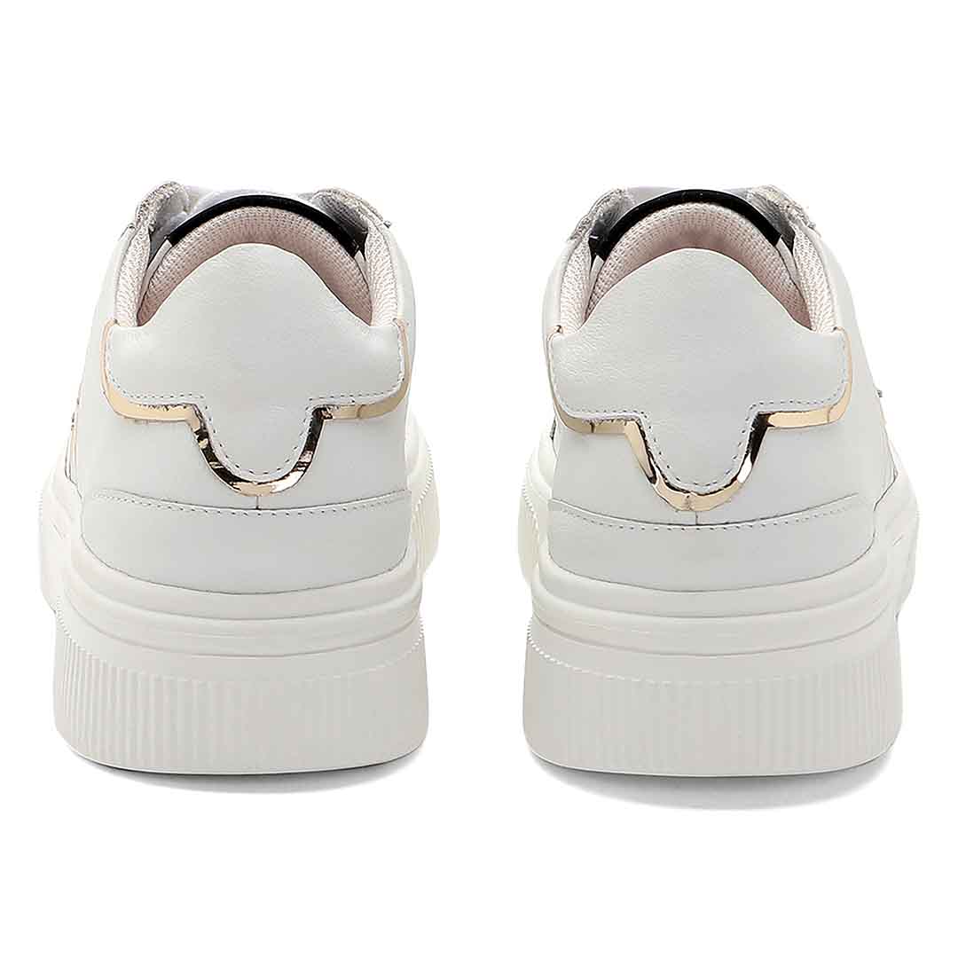 Nova V8 Lunar